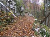 Beli Potok at Frankolovo - Waterfall Lindek